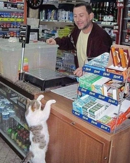 I WENT TO BUY SOME SWEETS—AND ENDED UP IN LINE BEHIND A SPECIAL CUSTOMER